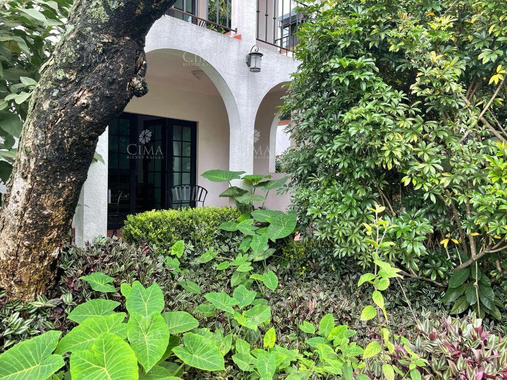 RENTA DEPARTAMENTO AMUEBLADO - R89