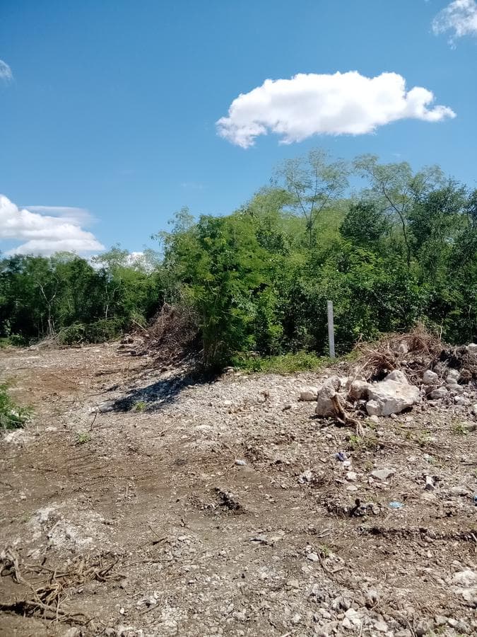 Travian Residential Lots