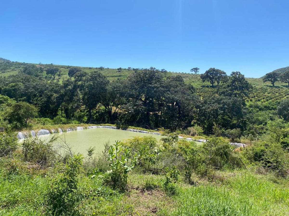 LAND IN SAN GABRIEL, JALISCO