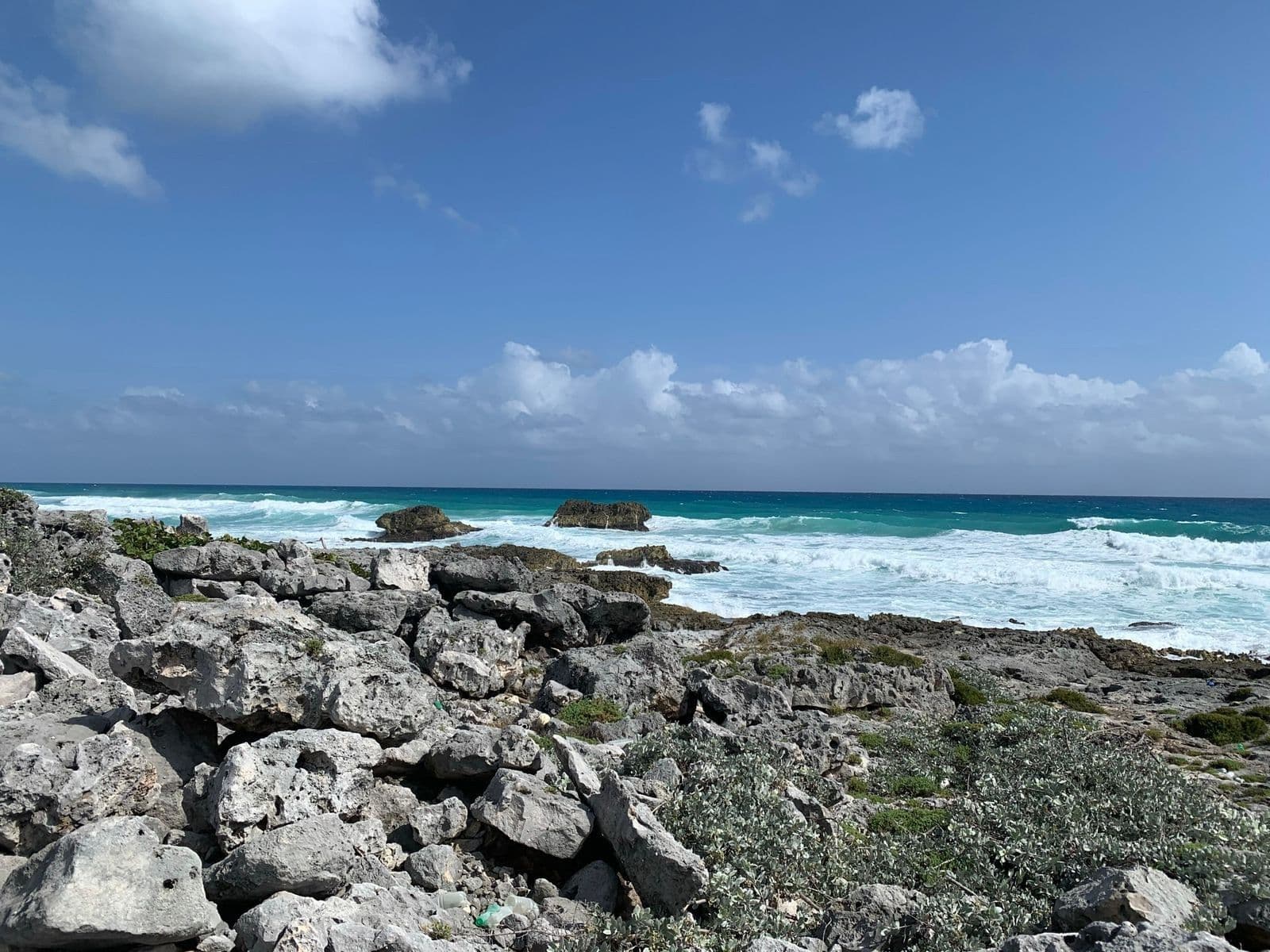 Oceanfront Lots in Playa Cozumel.