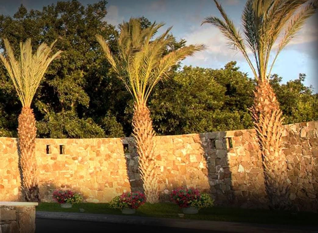 Land for Sale in Saltillo, Coahuila—Peña Alta Residential Development