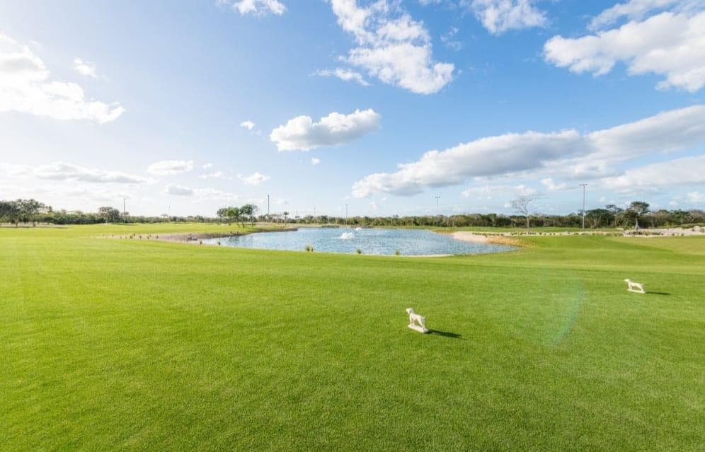 LAND FOR SALE IN THE MÉRIDA GOLF CLUB PROVINCE