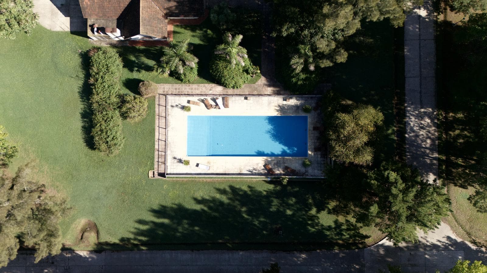 Dive into the exciting world of La Federala, where your dreams will come to life like never before!