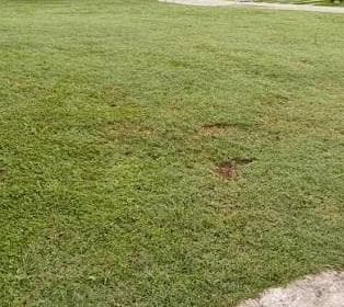 Land in Tafi Viejo