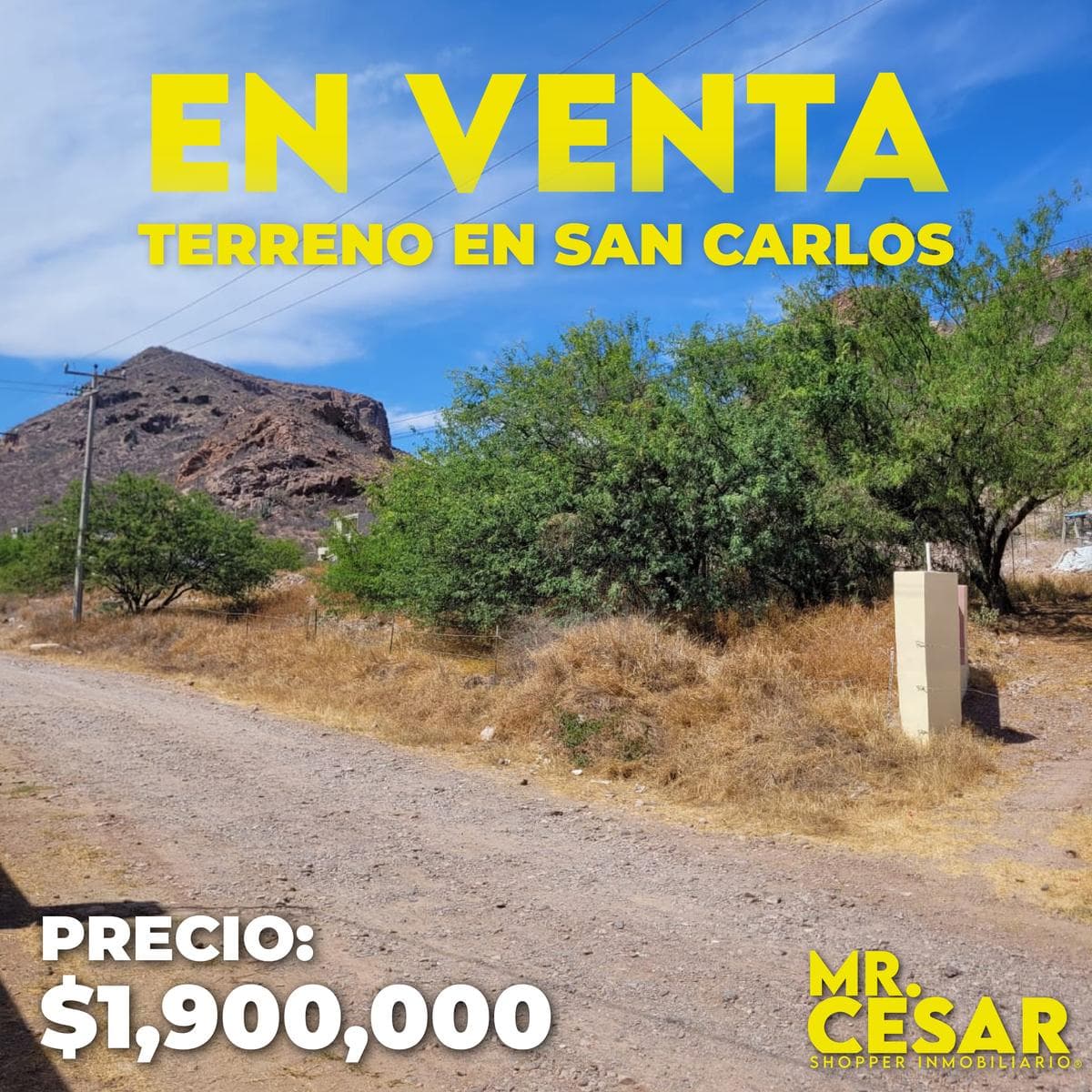 Land for Sale in the Bahía Area, San Carlos