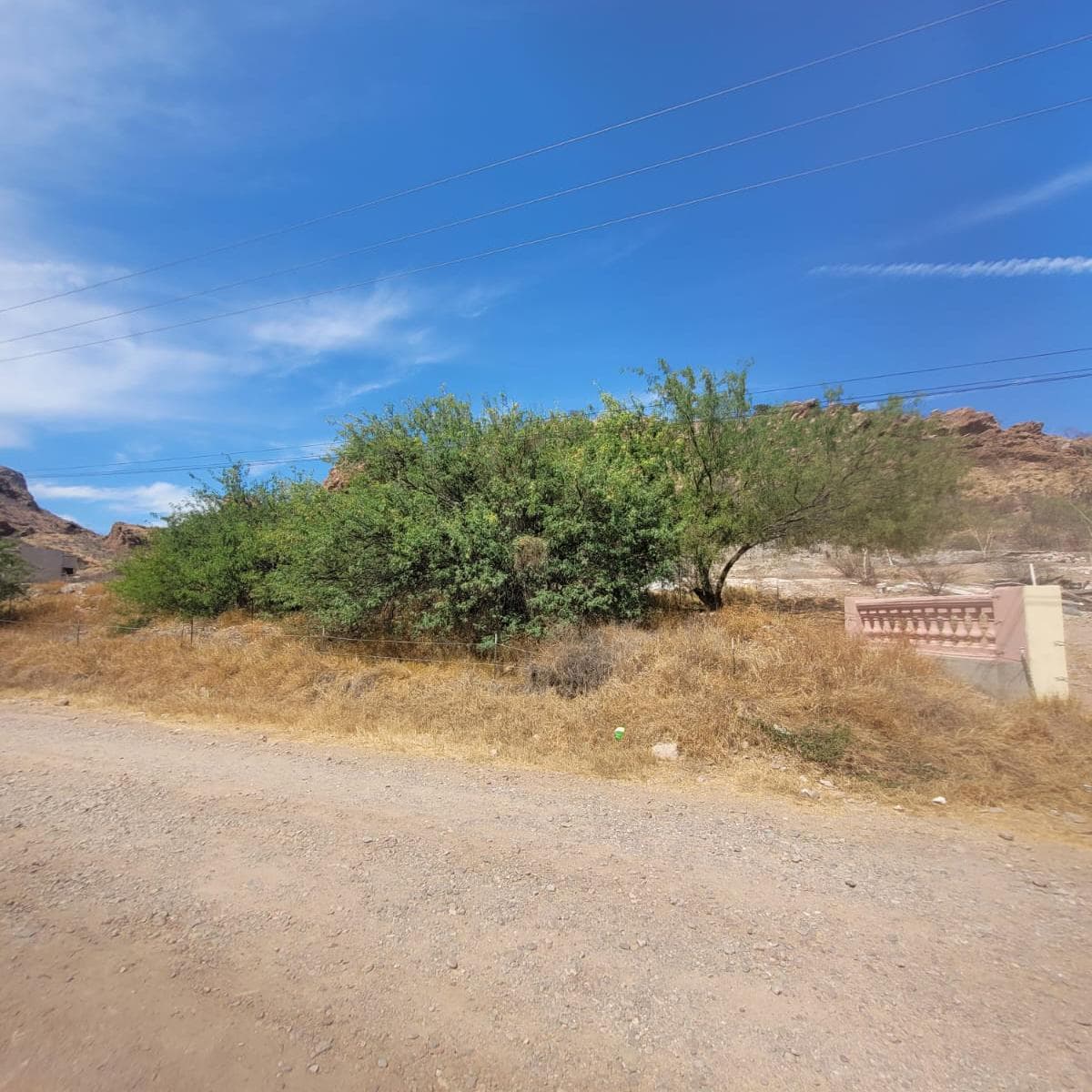 Land for Sale in the Bahía Area, San Carlos