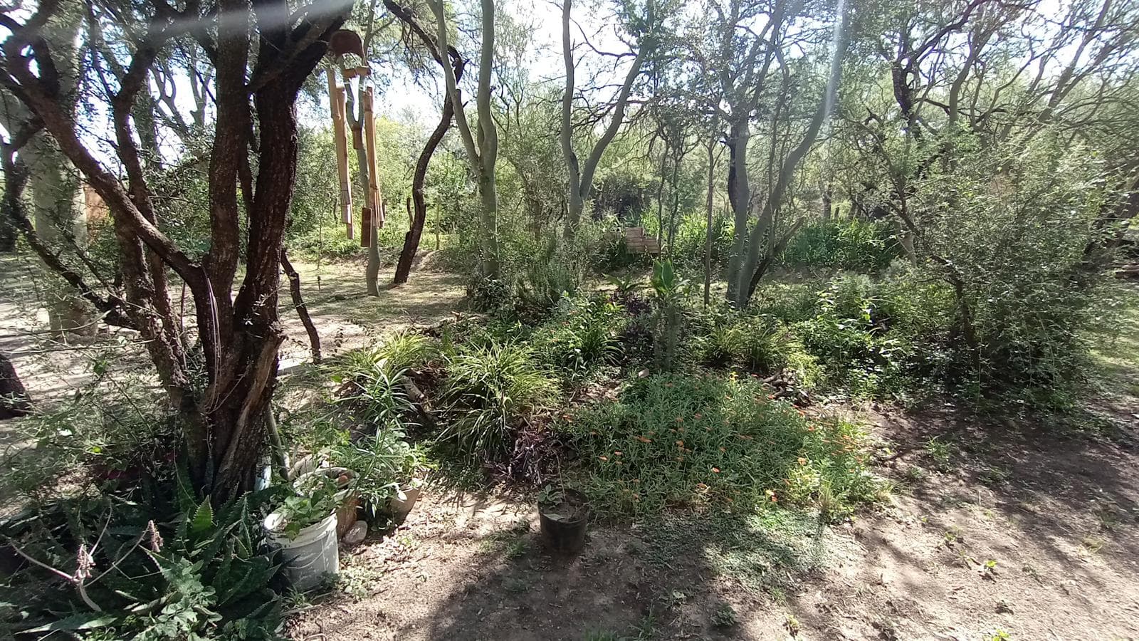 Adobe House in La Aguadita | Villa de Las Rosas | Natural Setting | Deed
