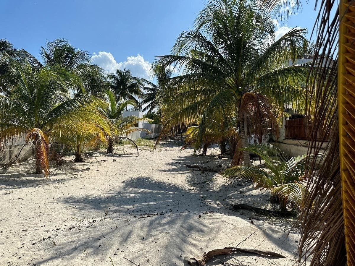Land for Sale ON THE BEACH, DIRECTLY ON THE OCEAN, in Telchac, Mérida, Yucatán