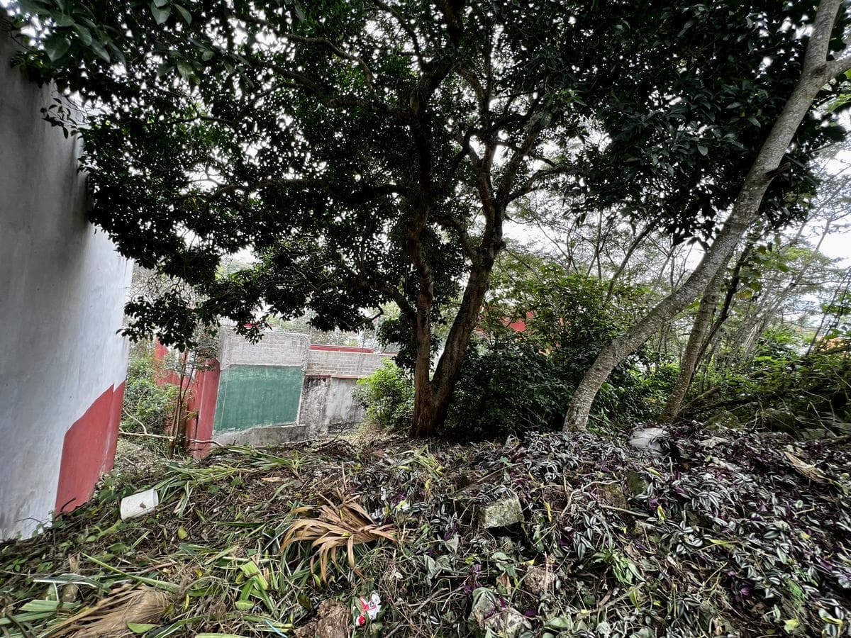 Land for sale in Xalapa, behind the Volkswagen Araucarias