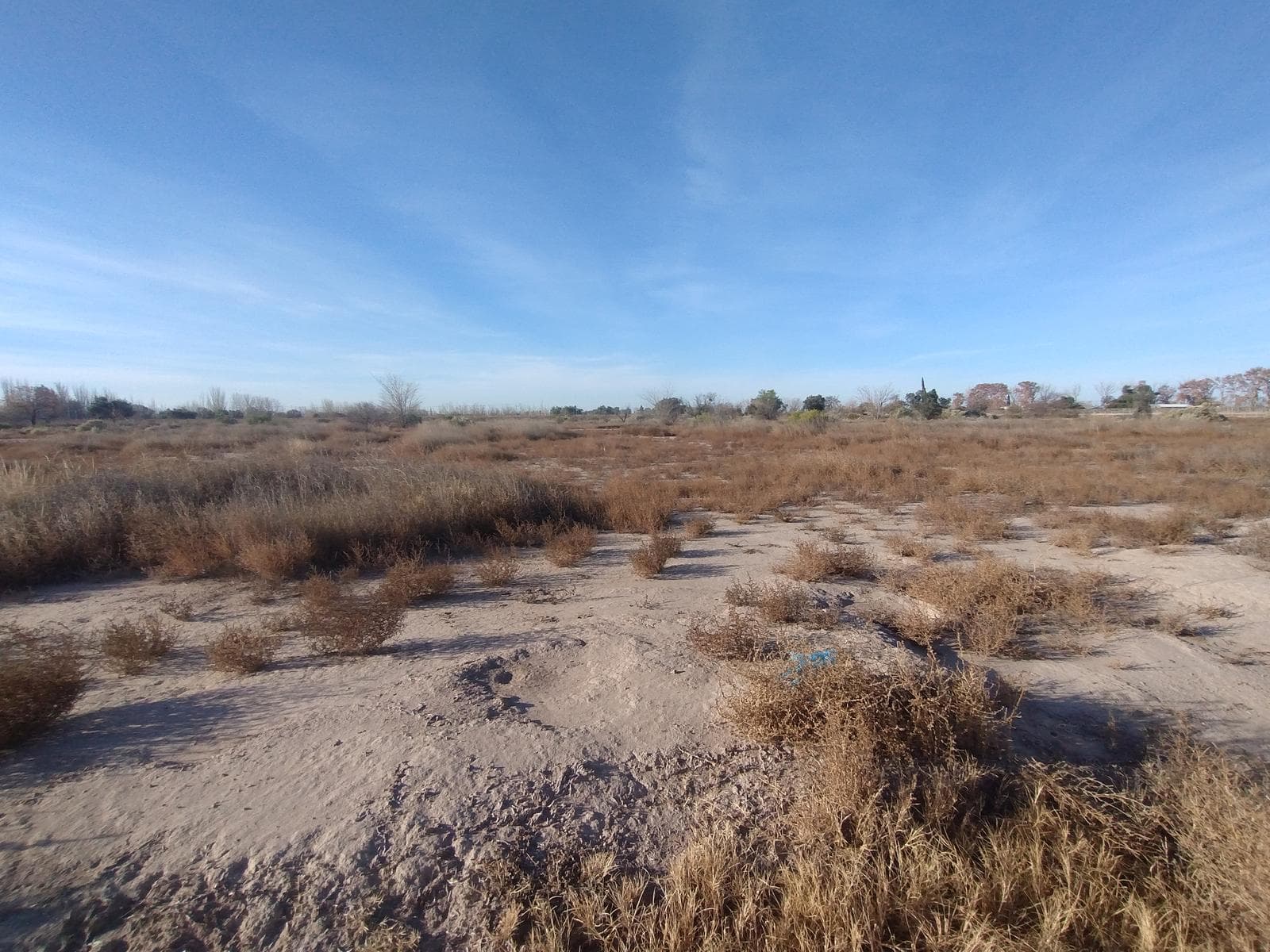 Large Lot for Sale