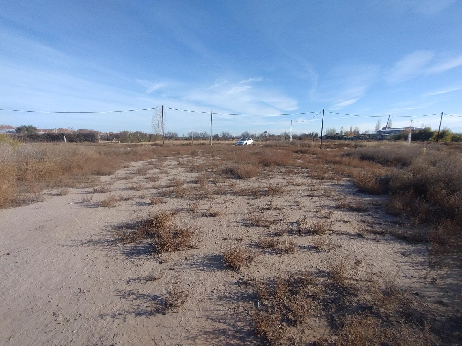 Large Lot for Sale