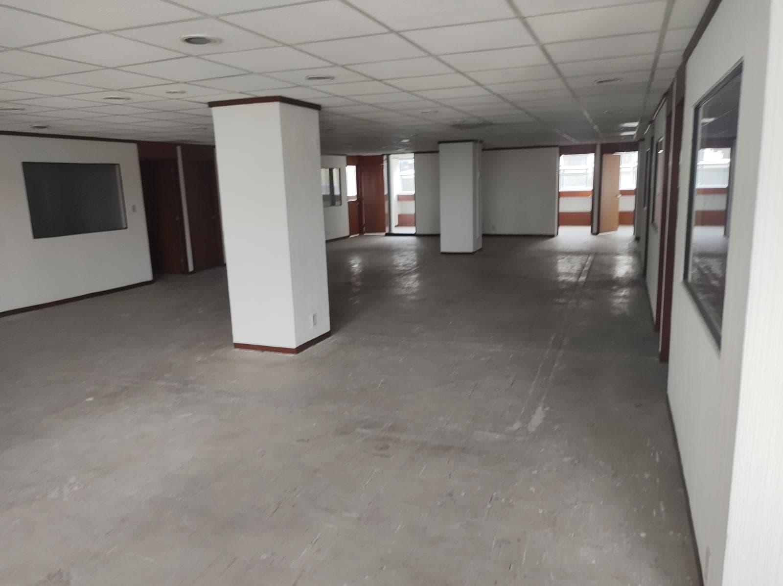 Office Space for Rent in Anzures, Near Reforma