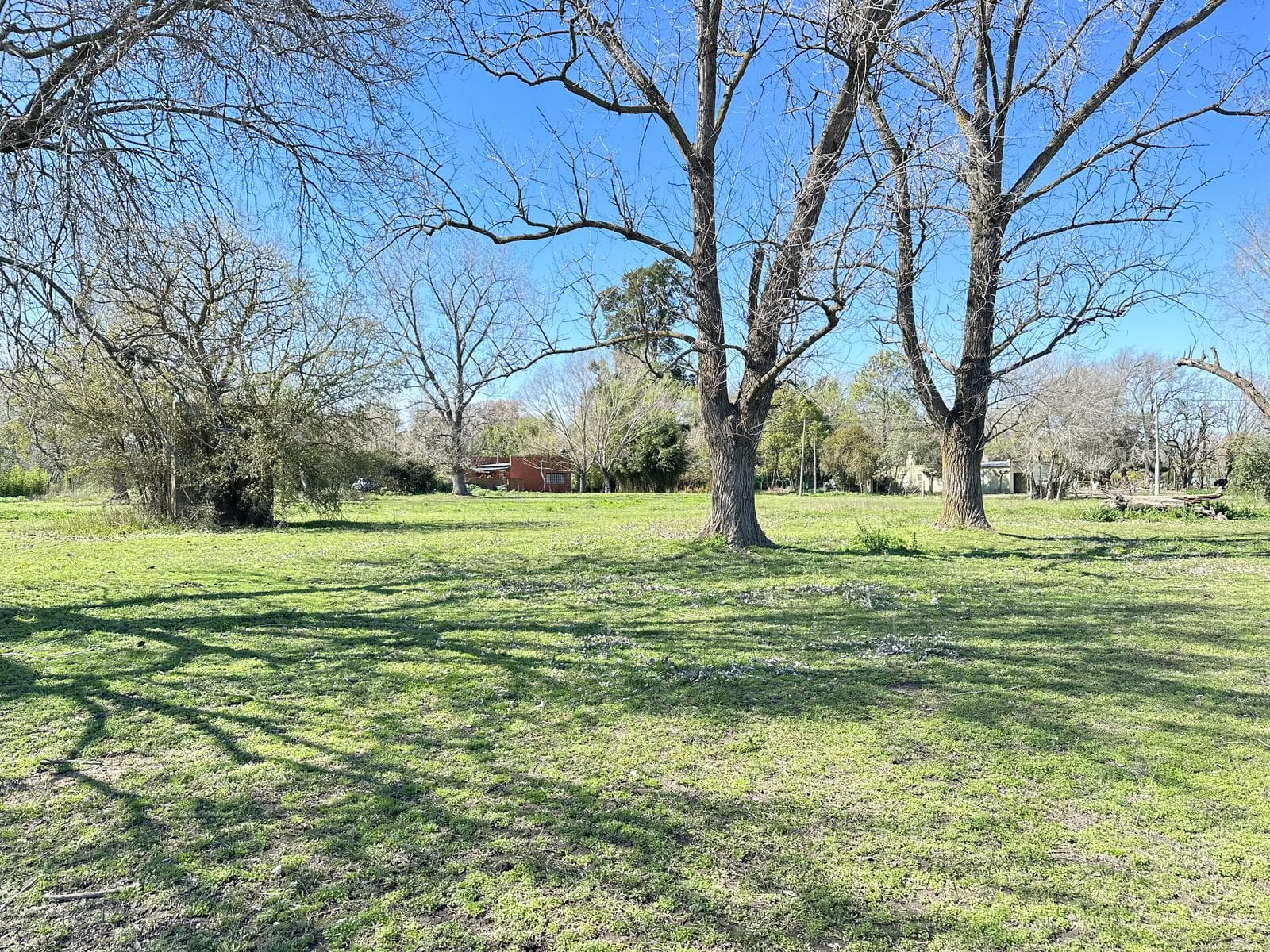Land for Sale in Lobos, Lots of Nearly 1 ha