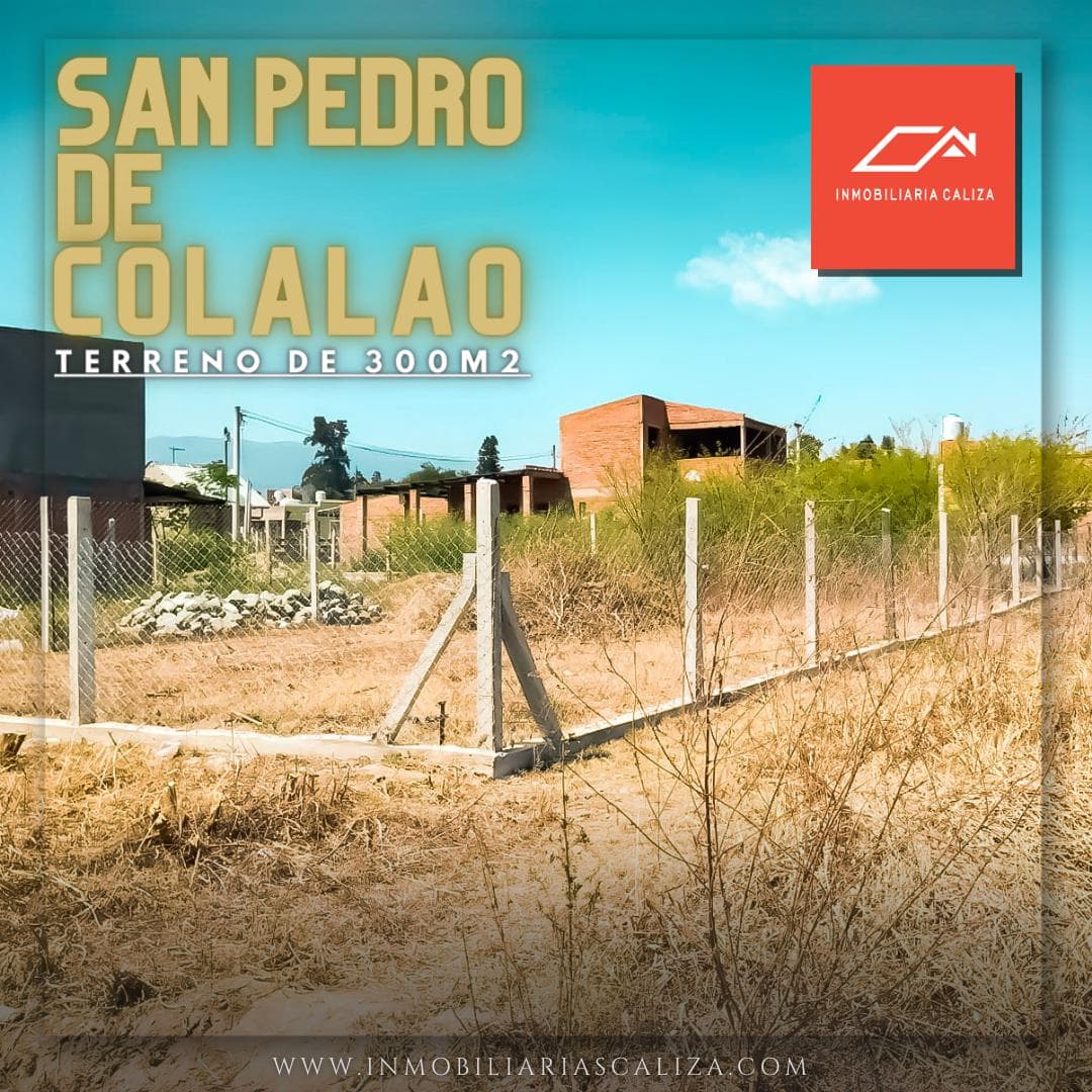 LAND FOR SALE IN SAN PEDRO DE COLALAO | TUCUMAN