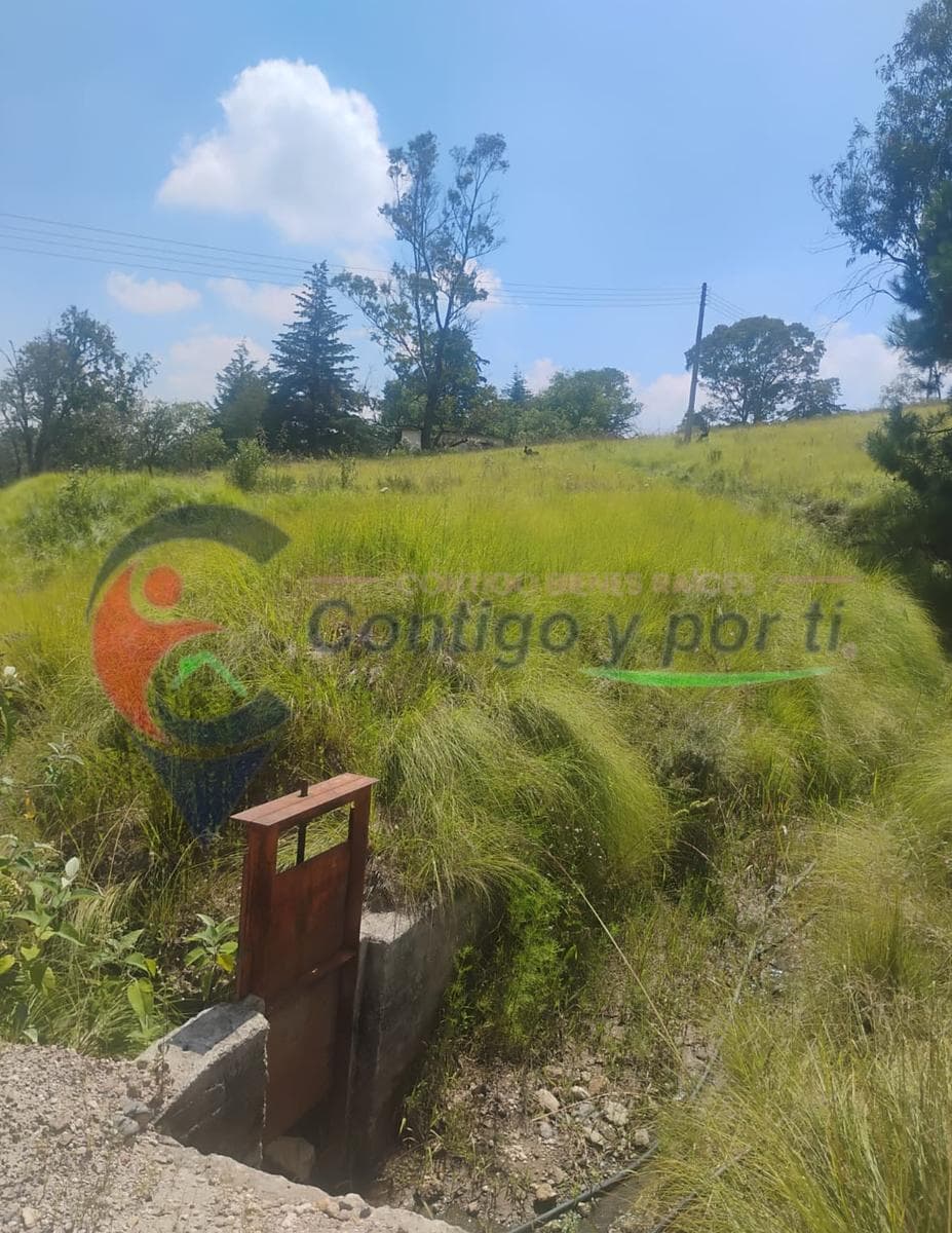 Land for Sale – Santa María Nativitas, Aculco, State of Mexico