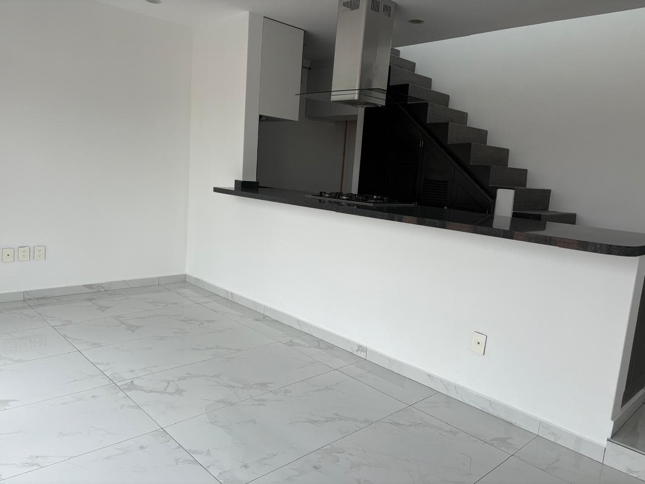 Apartment with Private Roof Garden for RENT in Col. Escandón, Mexico City
