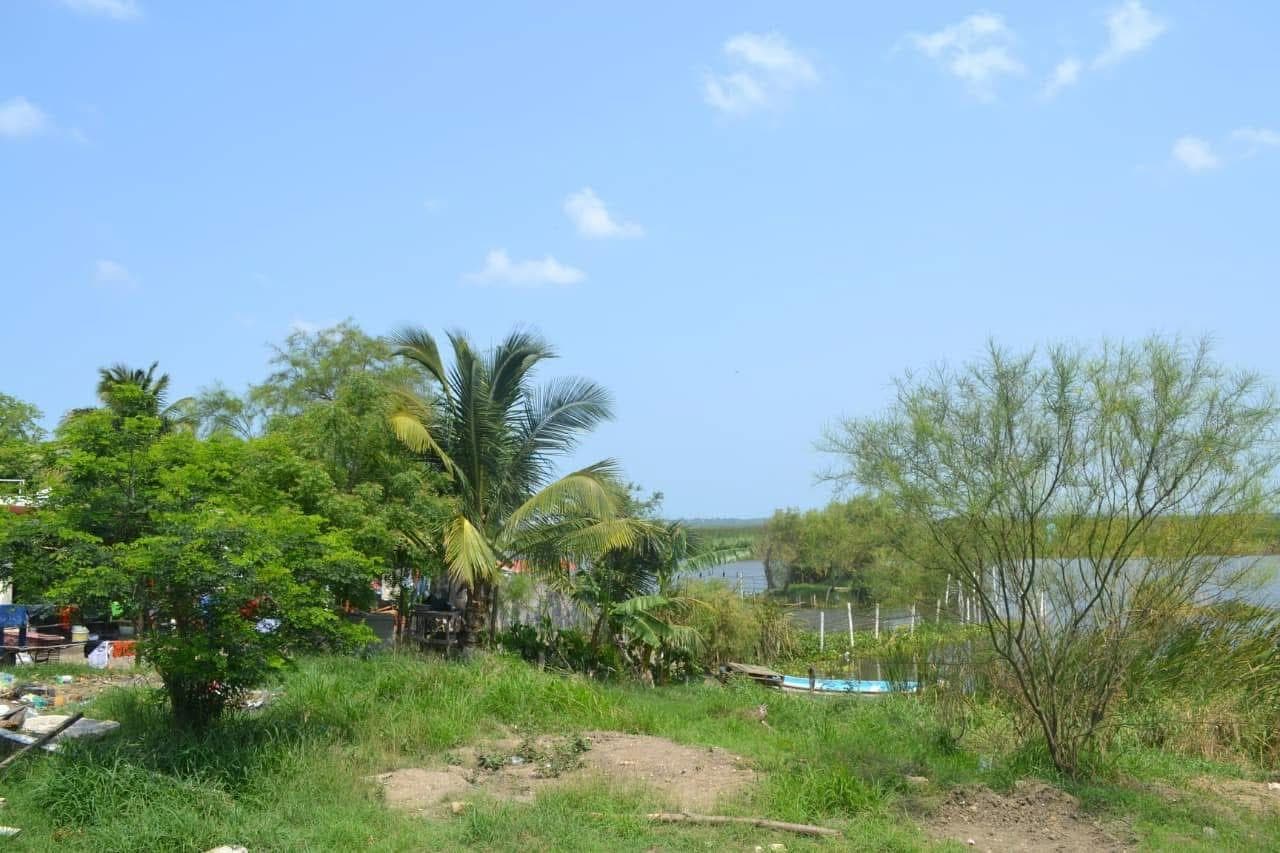 Land for sale next to Champayan Lagoon, Altamira