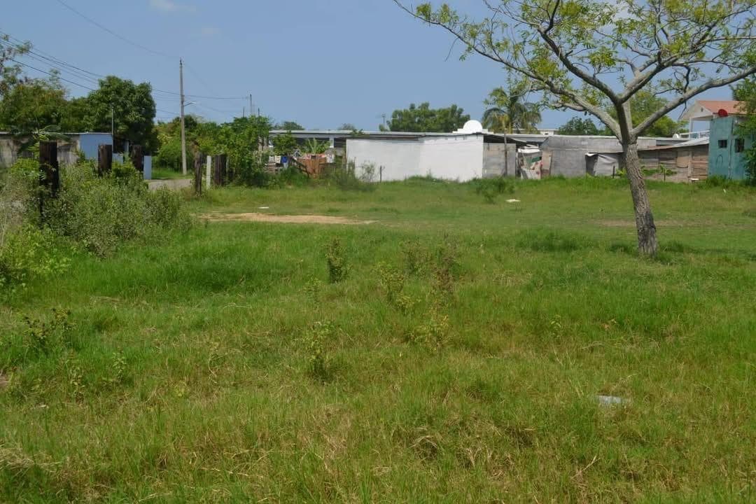 Land for sale next to Champayan Lagoon, Altamira