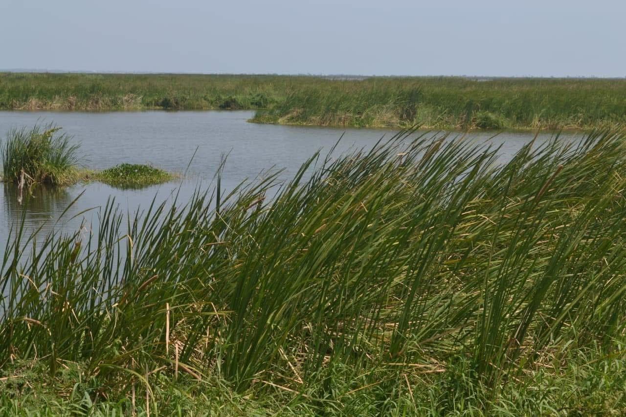 Land for sale next to Champayan Lagoon, Altamira