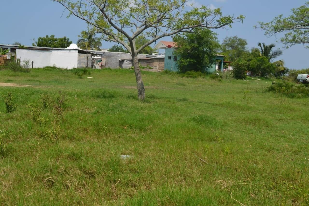 Land for sale next to Champayan Lagoon, Altamira