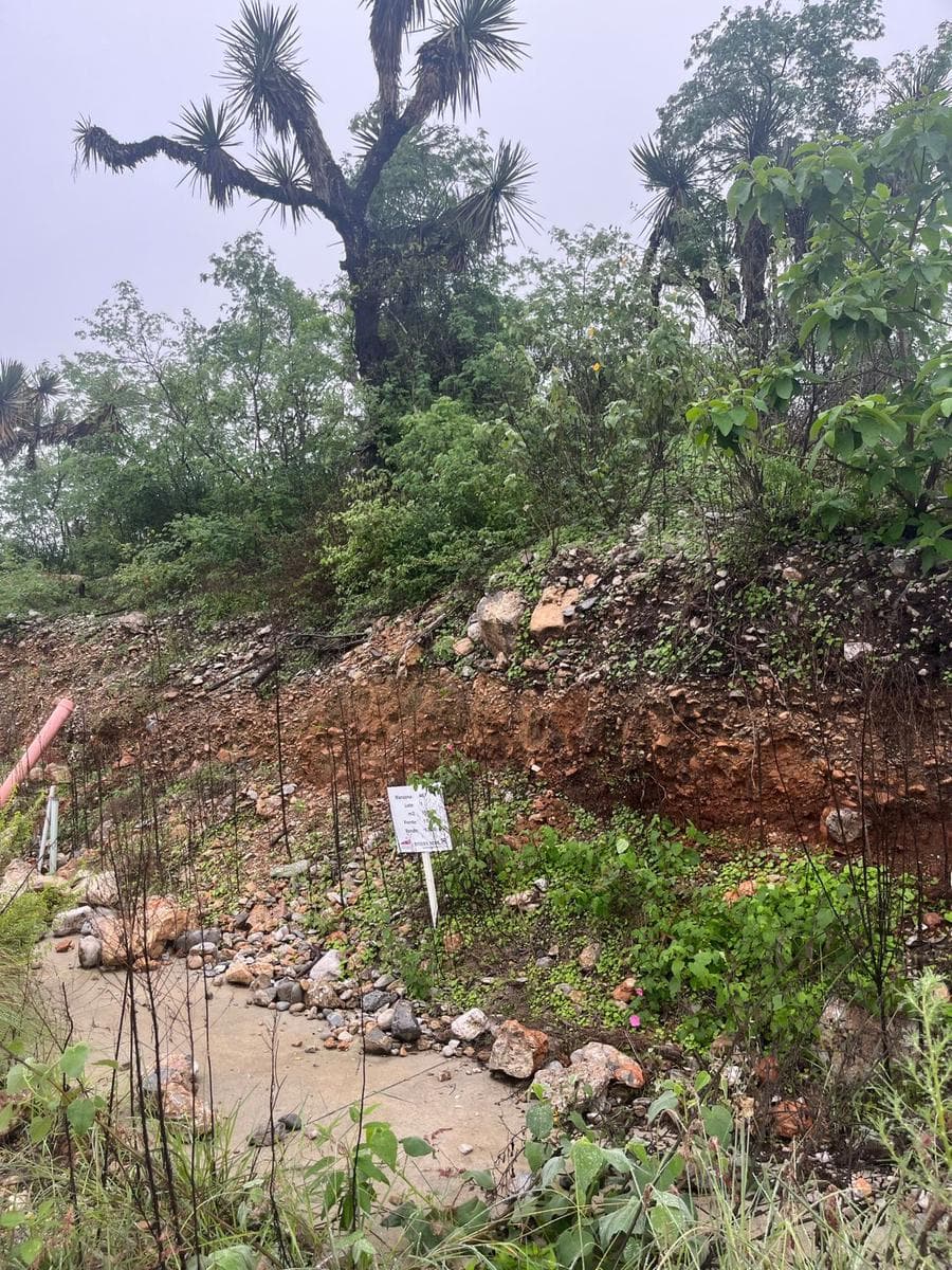 LAND FOR SALE IN CUMBRES ELITE PREMIER