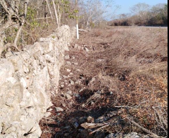 40 hectares along the Hunucma–Sisal Highway