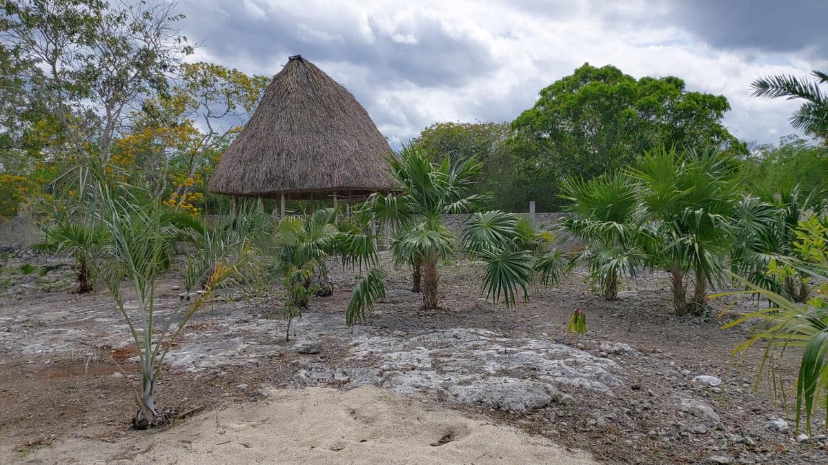 Land - Progreso