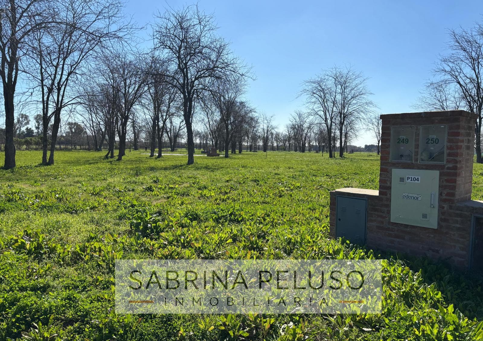 Land for Sale in Prados del Oeste 2