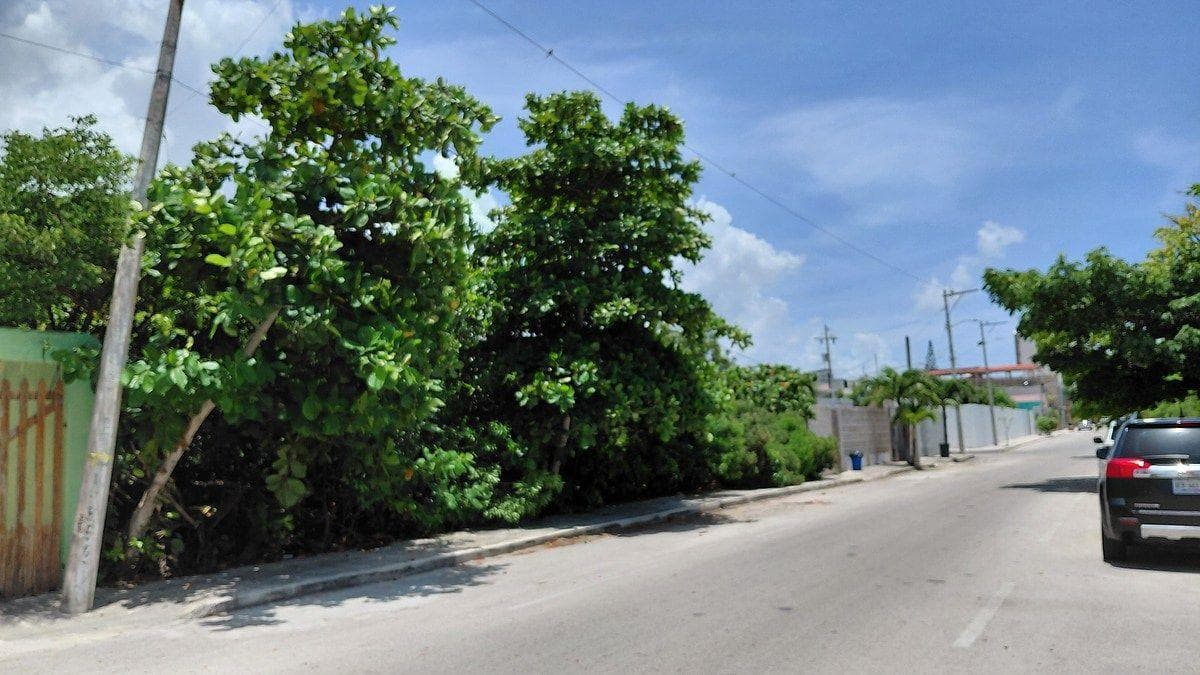 LAND FOR SALE IN PROGRESO, SECOND ROW, 1,395 m²
