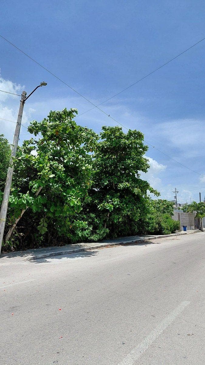 LAND FOR SALE IN PROGRESO, SECOND ROW, 1,395 m²