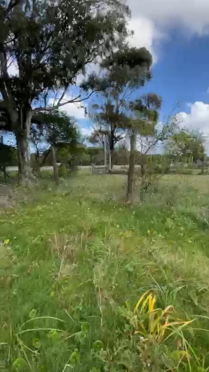 Land in Solymar