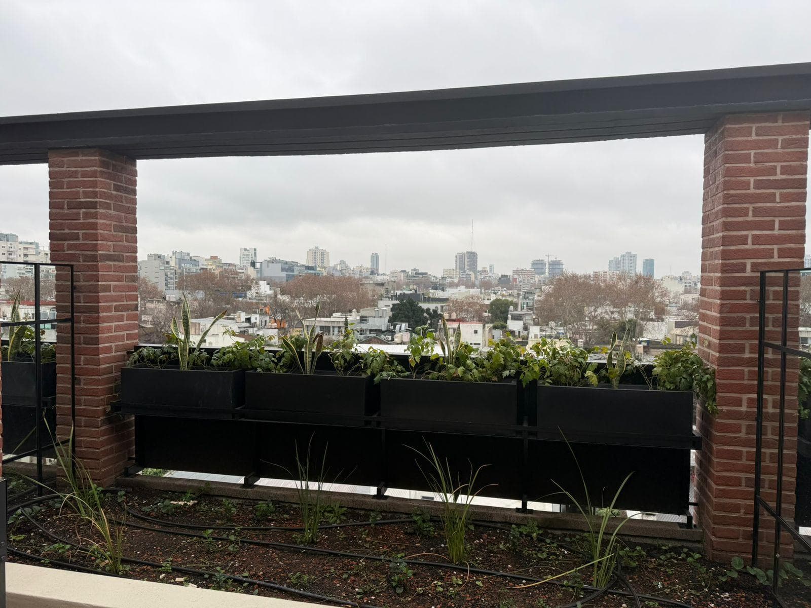 Apartment | For Rent | Palermo | Palermo Hollywood | Studio | Balcony/Terrace | Grill