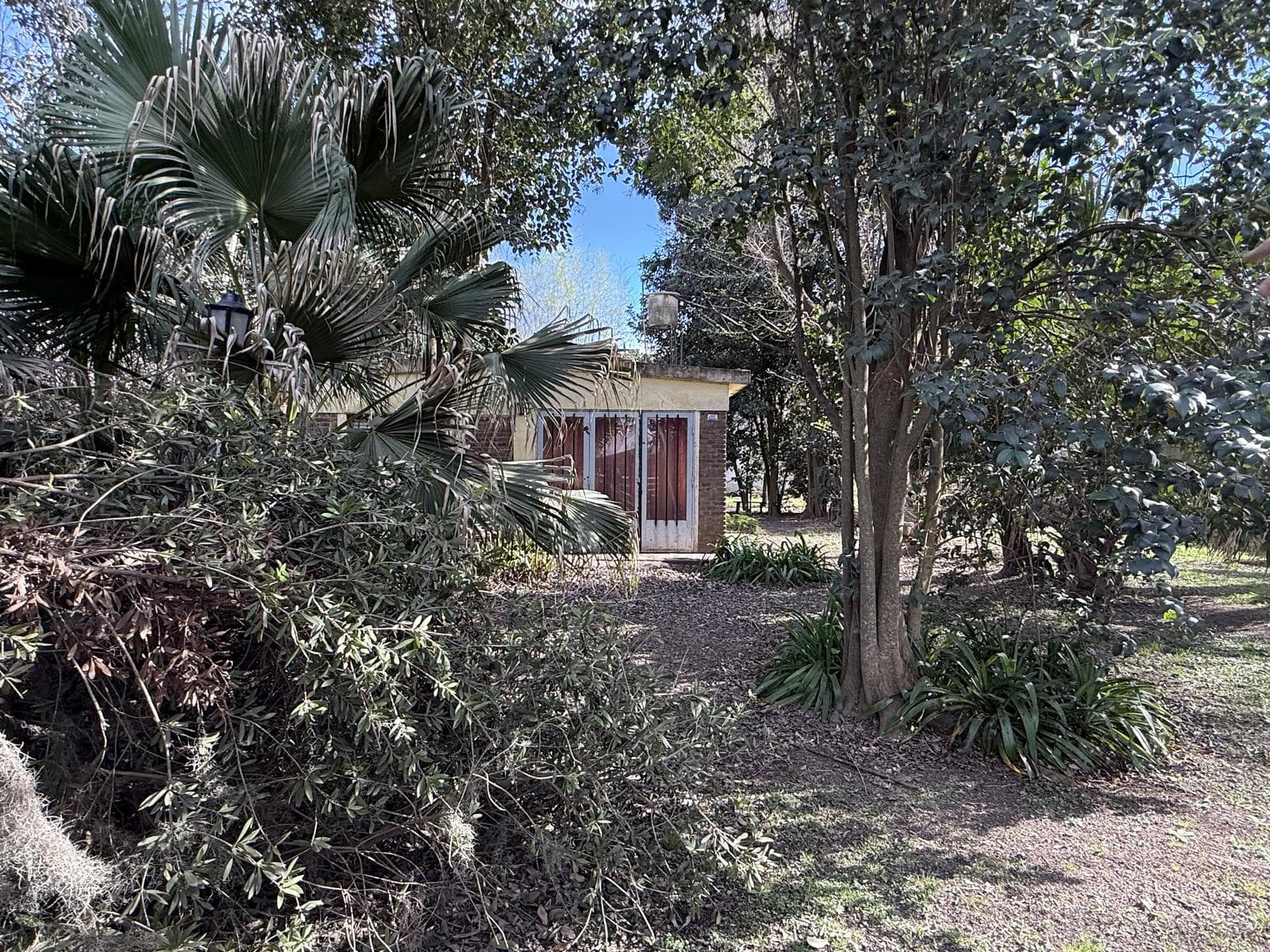 HOUSE FOR SALE IN RICARDONE WITH LAND AND A GROVE OF TREES ALONG THE HIGHWAY