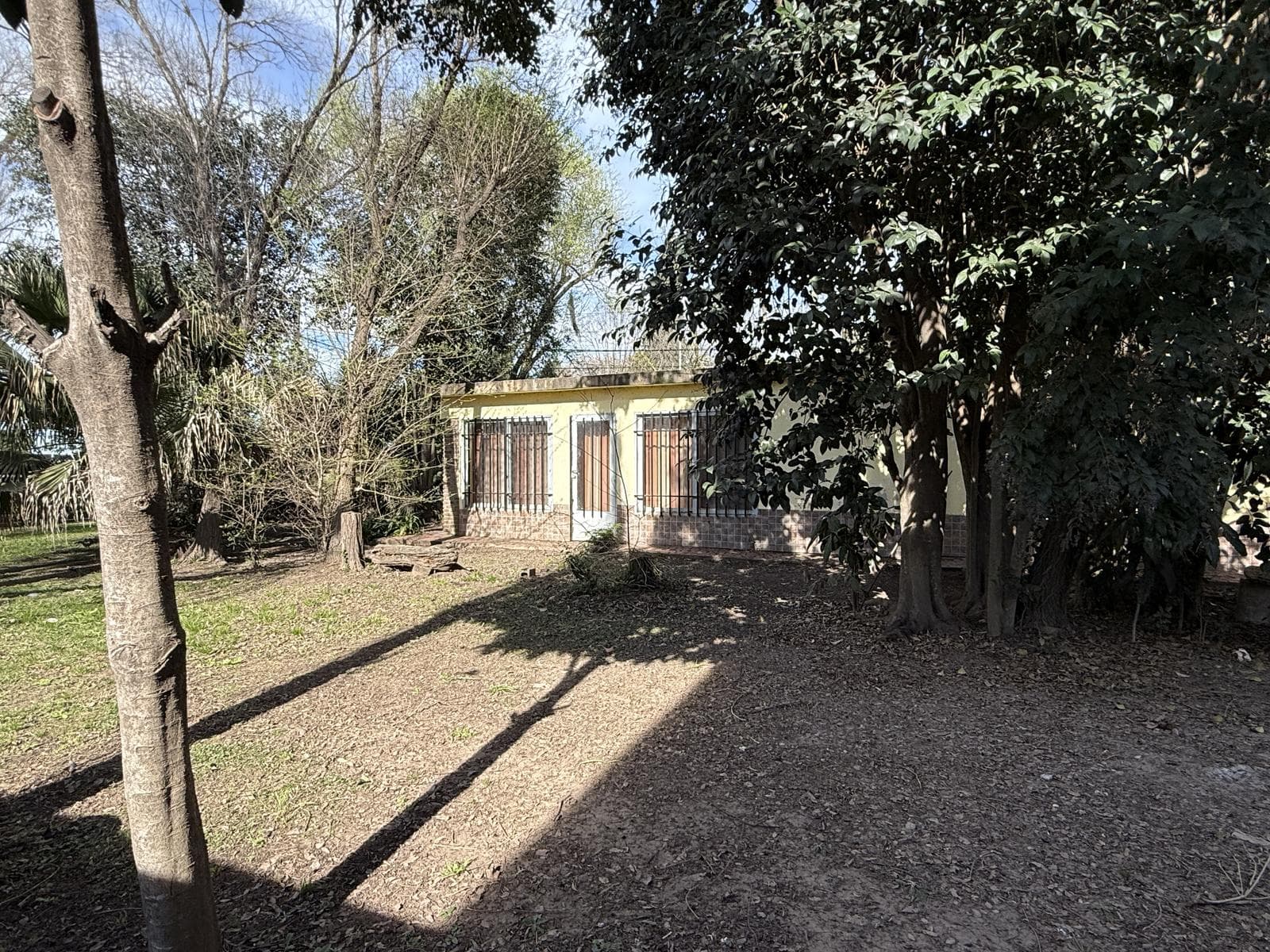 HOUSE FOR SALE IN RICARDONE WITH LAND AND A GROVE OF TREES ALONG THE HIGHWAY