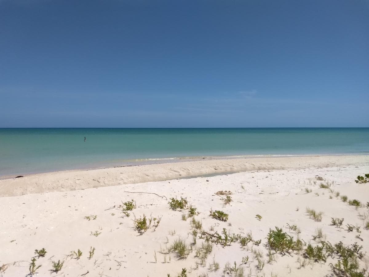 25-meter Oceanfront Lot in Sisal Sunset Shore, Yucata