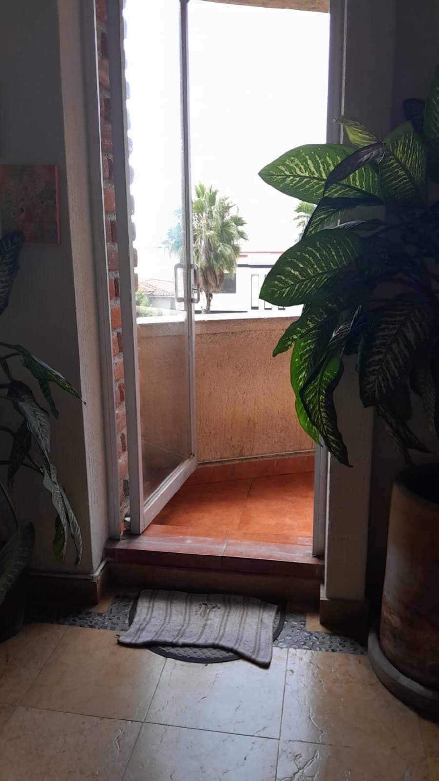Apartment - Bosque Real