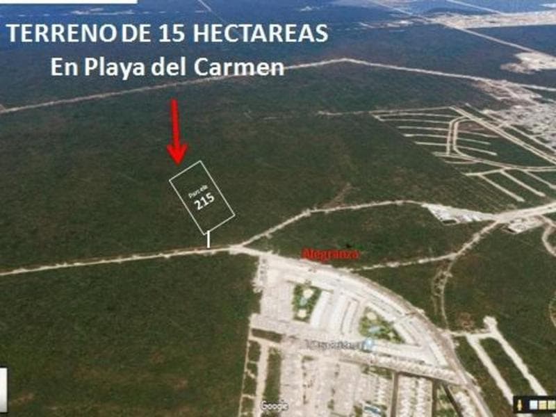 15-hectare Lot for Sale, Zoned for Residential Use, in Playa del Carmen, Quintana Roo.