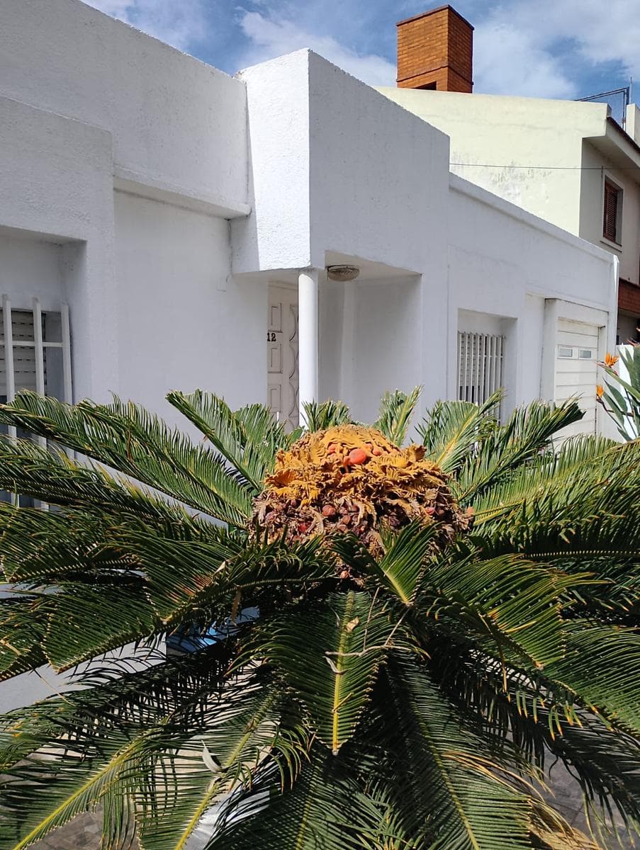 2-Bedroom House for Sale in the Palmar Neighborhood