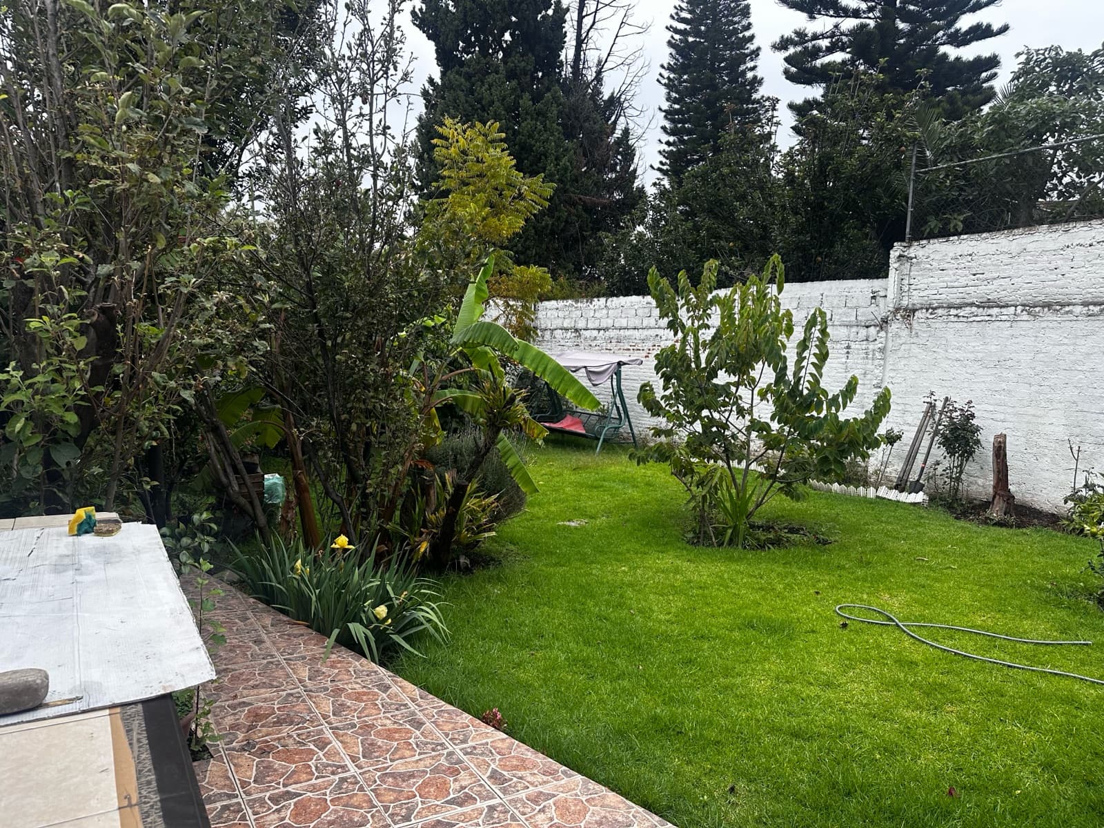 Casa - Viveros de La Loma