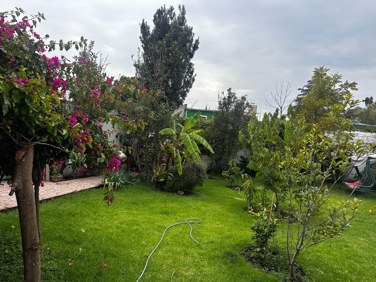 Casa - Viveros de La Loma