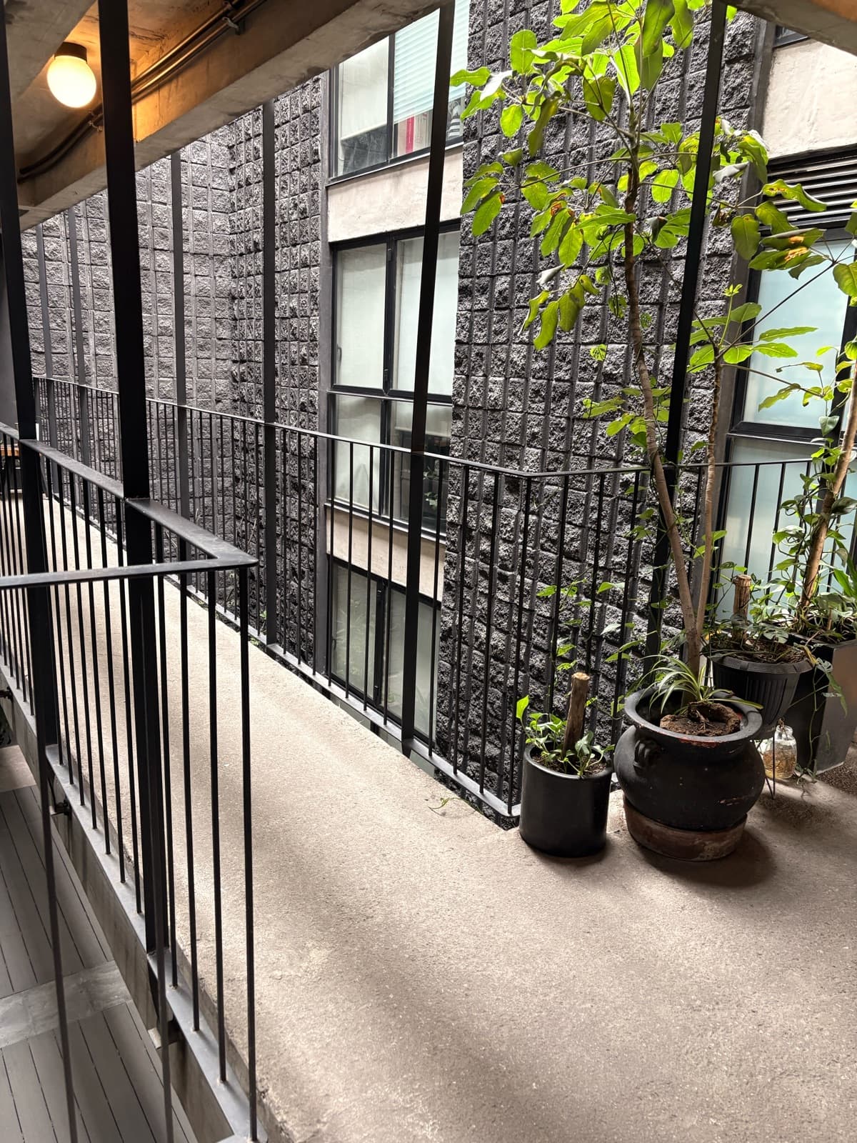 Apartment - Mixcoac