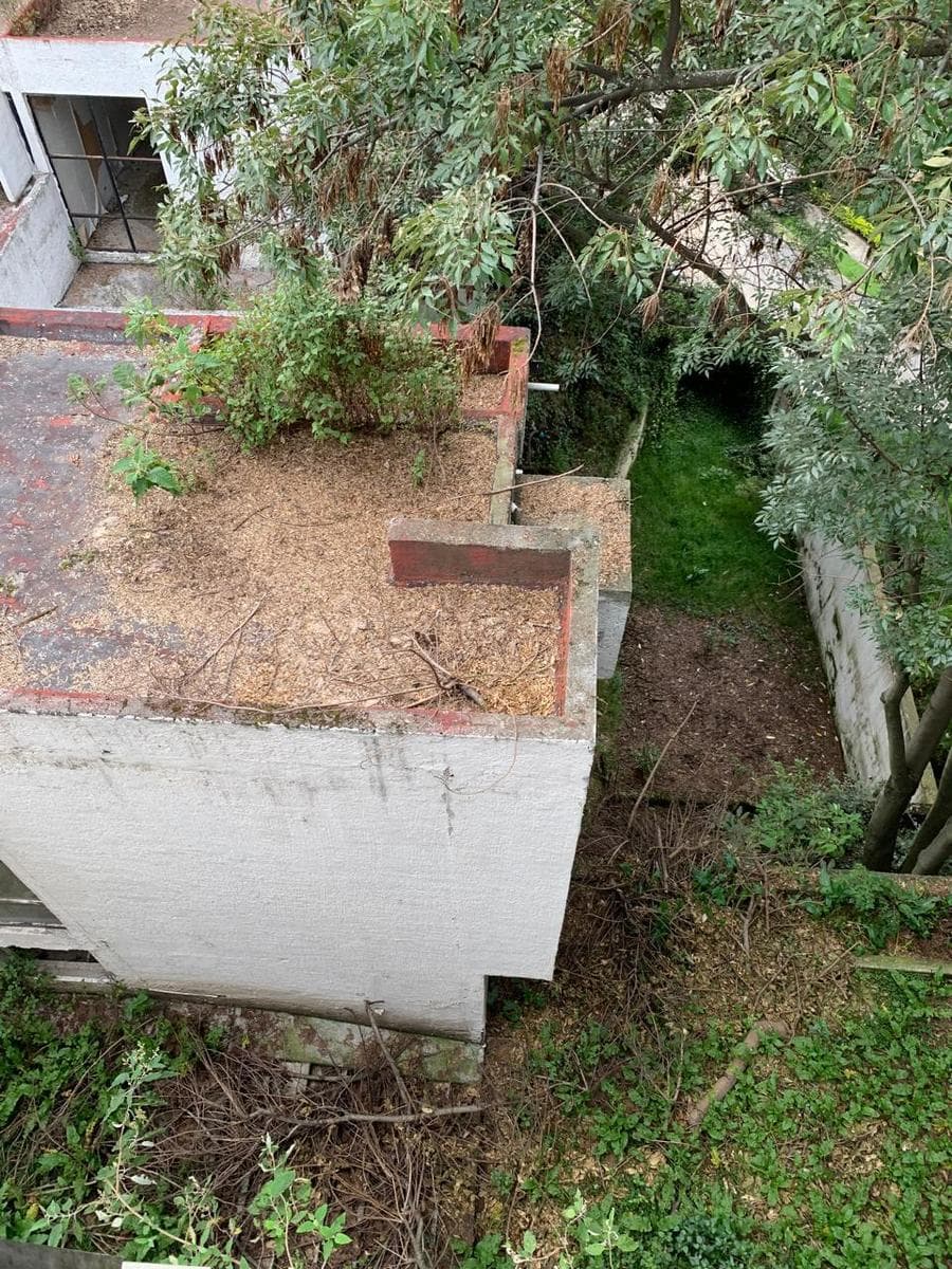 House for Sale in Bosques de las Lomas