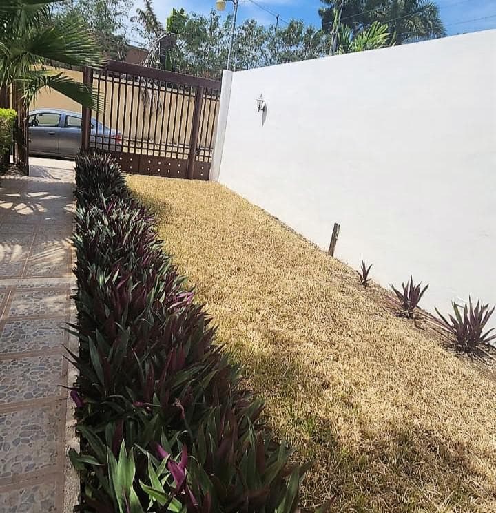 Spacious home in Benito Juárez Norte, Mérida