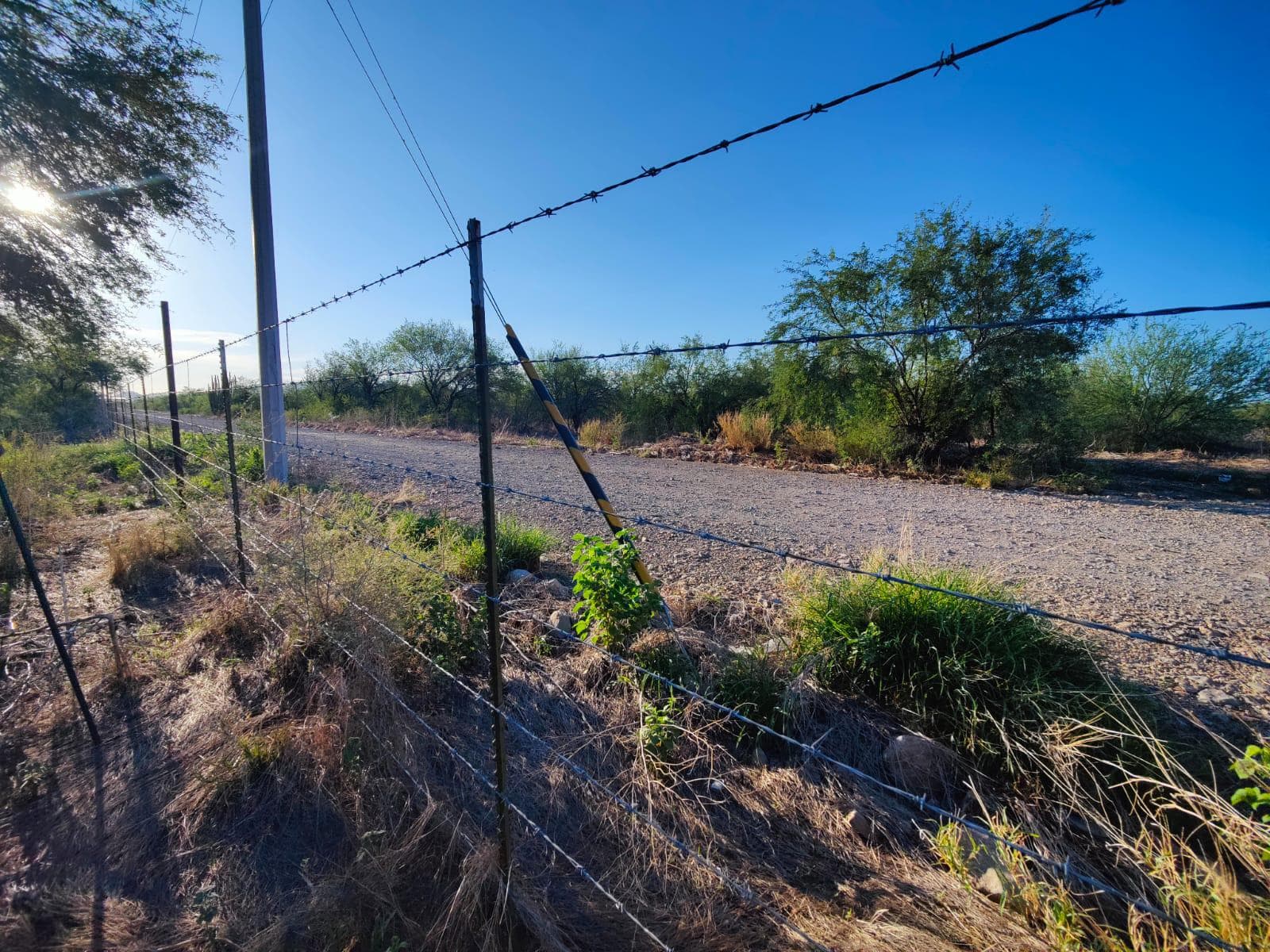 Land for Sale on the Road to La Colorada