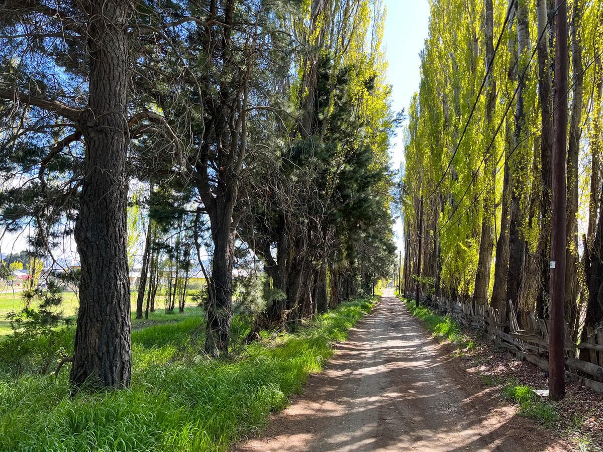 Excellent lot with a house in Dina Huapi