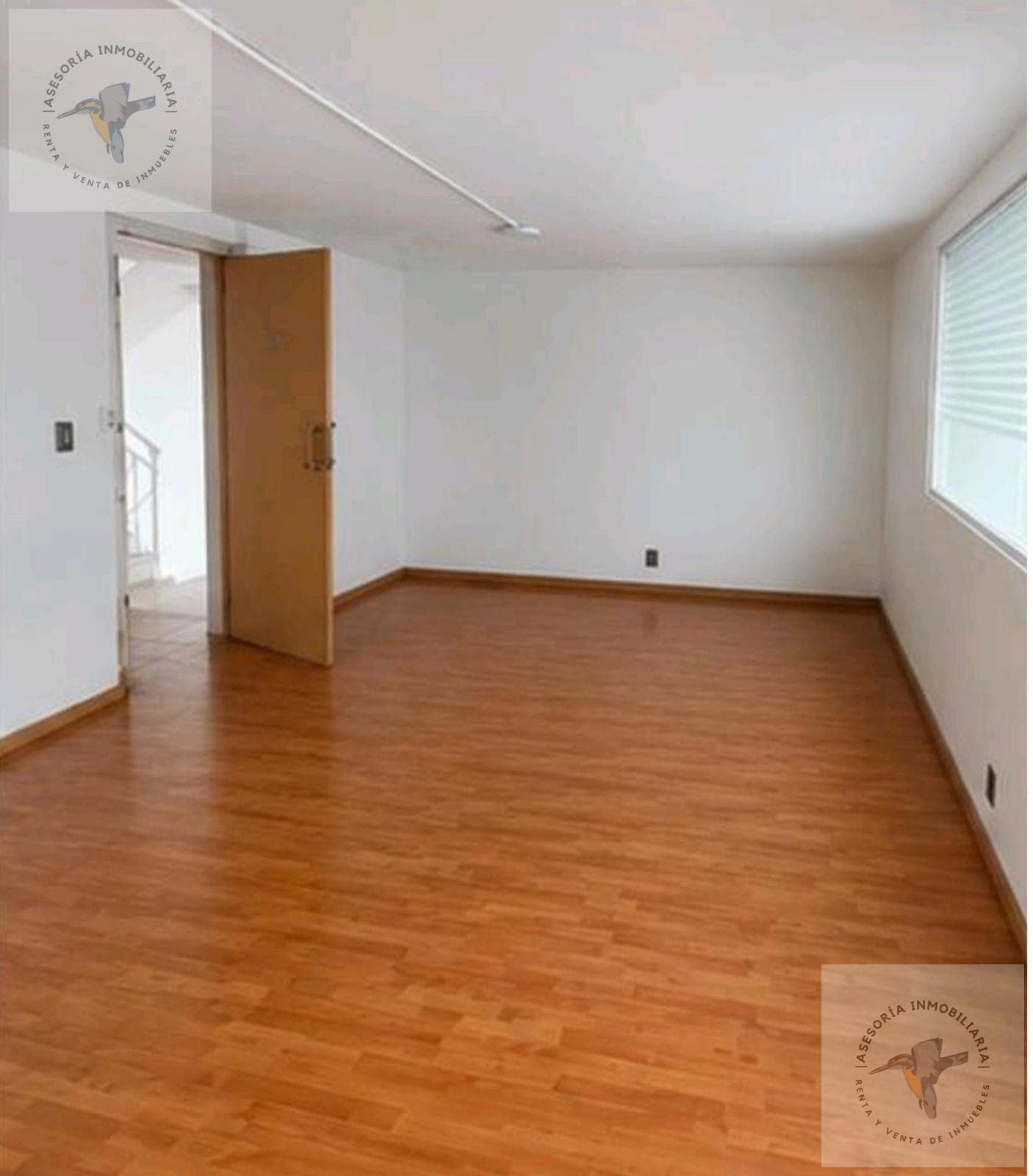 Office - Polanco II Section