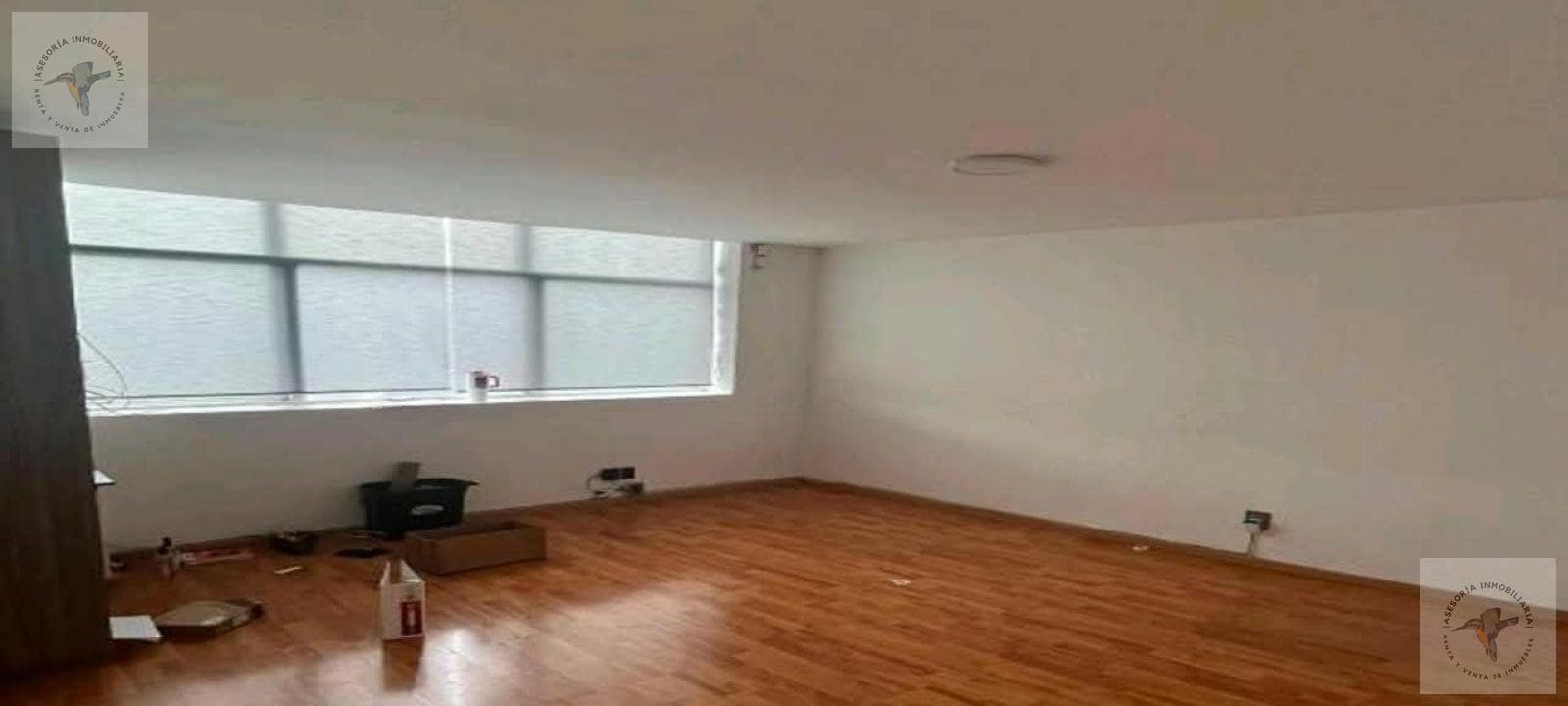 Office - Polanco II Section