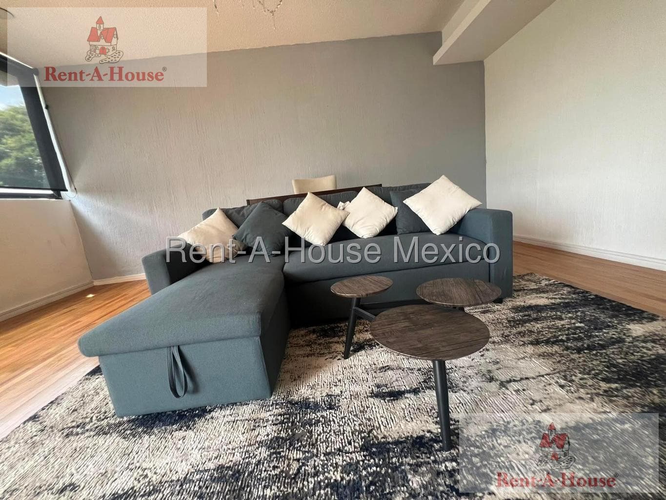 Furnished Apartment for Rent in Polanco, Miguel Hidalgo RG 27-991