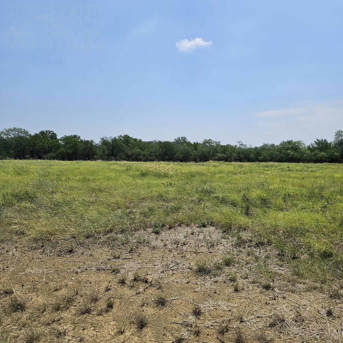 Land for Sale in General Escobedo