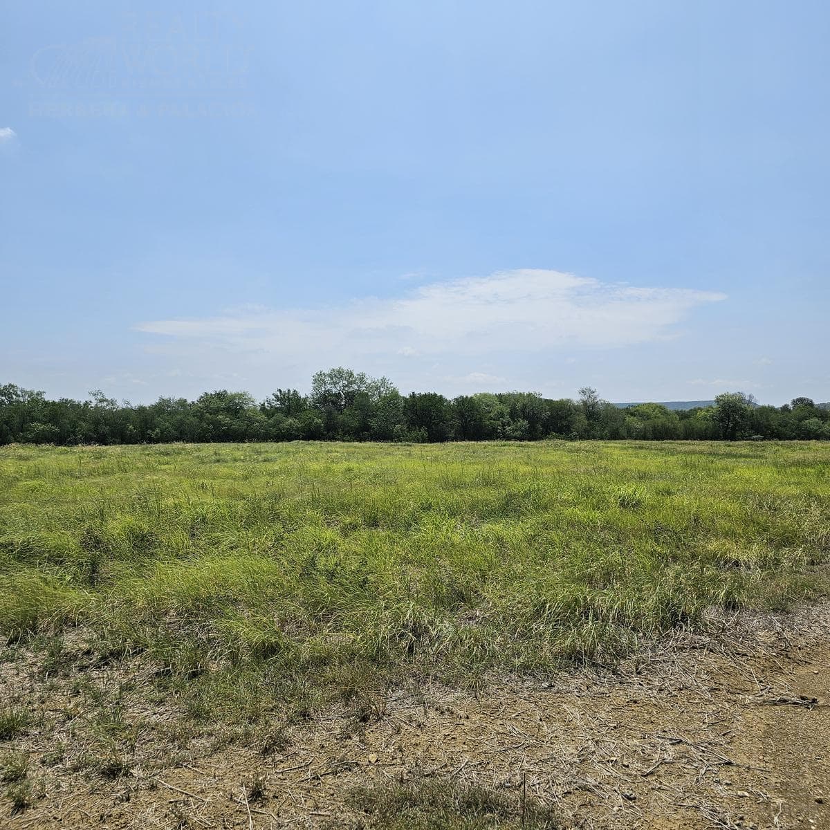 Land for Sale in General Escobedo